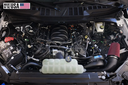 ProCharger 2024-26 Ford F-150 (5.0 4V) ProCharger Stage II Intercooled System With P-1X 1EC511-SCI