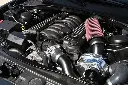 IMG_5441-jpg.webp