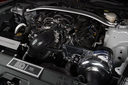 ProCharger 2018-23 Mustang GT, C/S, Mach 1 & Bullitt (5.0) Stage 3 Intercooled System With P-1X (dedicated Drive) 1FW612-SCI