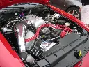 1997_Cobra_COG_UH_0.webp