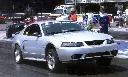 silver_Cobra-jpeg.webp