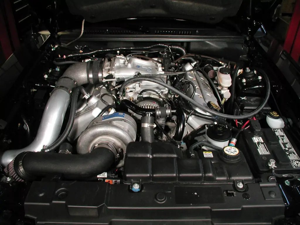 P7100086-jpg.webp