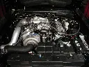 P7100086-jpg.webp