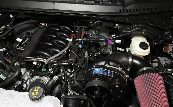 F143861885.webp