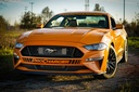 ProCharger 2018-23 Mustang GT, C/S, Mach 1 & Bullitt (5.0) ProCharger Stage II Intercooled System with P-1SC-1 1FW612-SCI