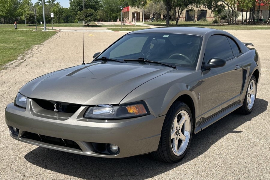 ProCharger 1999 - 01 Cobra (4.6 4V) ProCharger Stage II Intercooled System With P-1SC