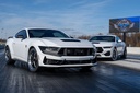 ProCharger 2024-26 Mustang GT/GT Performance Pack/Dark Horse (5.0 4V) Stage 3 Intercooled System With P-1X (dedicated Drive) 1EB212-SCI